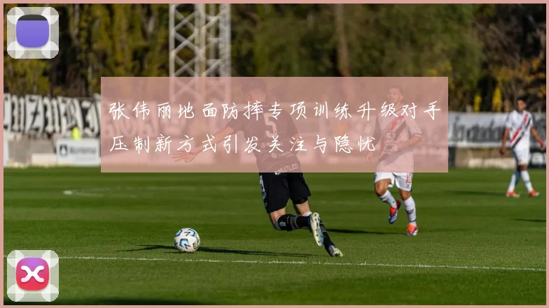 张伟丽地面防摔专项训练升级对手压制新方式引发关注与隐忧